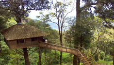 Coimbatore - Parambikulam - Topslip - Coimbatore