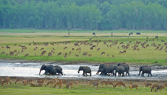 Coimbatore - Parambikulam - Topslip - Coimbatore