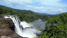 Coimbatore - Athirappilly Water Falls - Malampuzha Dam - Coimbatore