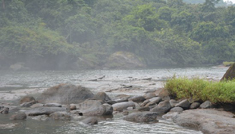 Coimbatore - Athirappilly Water Falls - Malampuzha Dam - Coimbatore