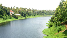 Coimbatore - Athirappilly Water Falls - Malampuzha Dam - Coimbatore