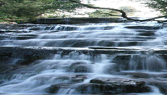 Coimbatore - Kodaikanal - Coimbatore
