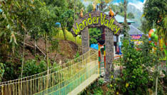 Coimbatore - Munnar - Coimbatore