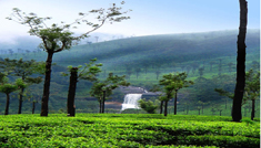 Coimbatore - Valparai - Coimbatore