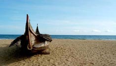 Coimbatore - Guruvayur - Cochin - Coimbatore