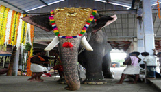 Coimbatore - Guruvayur - Cochin - Coimbatore