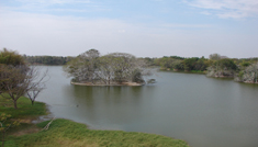 Coimbatore - Mysore - Coimbatore