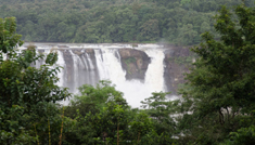 Coimbatore - Valparai - Athirappalli Water Falls - Coimbatore