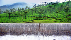 Coimbatore - Valparai - Athirappalli Water Falls - Coimbatore