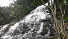 Coimbatore - Yercaud - Coimbatore