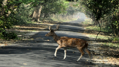 Coimbatore - Munnar - Coimbatore