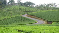 Coimbatore - Valparai - Coimbatore