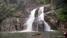 Coimbatore - Wayanad - Coimbatore