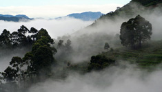 Coimbatore - Ooty - Kodaikanal - Munnar - Alleppey - Kovalam - Cochin - Coimbatore