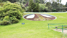 Coimbatore - Ooty - Mysore - Bangalore