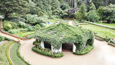 Coimbatore - Ooty - Munnar - Thekkady - Alleppey - Coimbatore