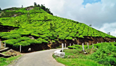 Coimbatore - Ooty - Munnar - Thekkady - Alleppey - Coimbatore