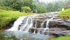 Coimbatore - Kodaikanal - Coimbatore - 3N / 4D
