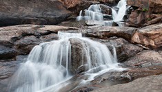 Coimbatore - Munnar - Coimbatore - 2N / 3D