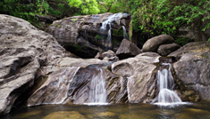 Coimbatore - Munnar - Coimbatore - 2N / 3D