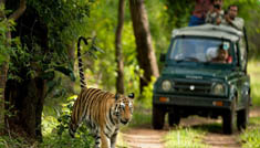 Coimbatore - Ooty - Coimbatore - 2N / 3D