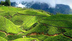 Coimbatore - Ooty - Coimbatore - 3N / 4D