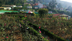 Coimbatore - Ooty - Kodaikanal - Munnar - Thekkdy - Alleppey - Coimbatore
