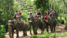 Coimbatore - Munnar - Thekkdy - Alleppey - Kovalam - Coimbatore