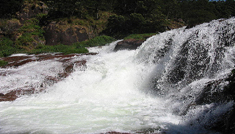 Coimbatore - Ooty - Munnar - Coimbatore