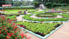 Coimbatore - Kodaikanal - Munnar - Thekkady - Alleppey - Cochin - Coimbatore