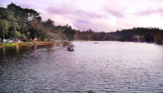 Coimbatore - Kodaikanal - Ooty - Mysore - Bangalore