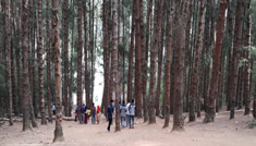 Coimbatore - Ooty - Coorg - Mysore - Coimbatore