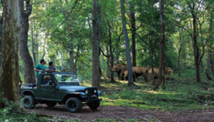 Coimbatore - Ooty - Wayanad - Coorg - Bangalore