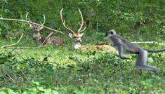 Coimbatore - Ooty - Wayanad - Coorg - Bangalore
