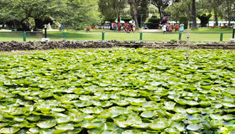 Coimbatore - Ooty - Kodaikanal - Madurai - Coimbatore