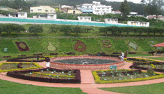 Mysore - Ooty - Munnar - Coimbatore