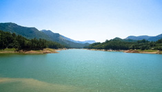 Coimbatore - Munnar - Alleppey - Cochin - Coimbatore