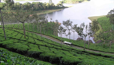 Coimbatore - Munnar - Coimbatore