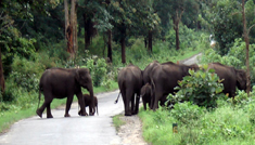 COIMBATORE - OOTY - COIMBATORE