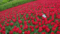 COIMBATORE - OOTY - COIMBATORE