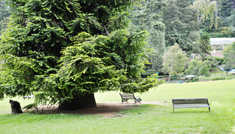 Coimbatore - Ooty - Coorg - Coimbatore