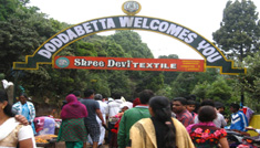 Bangalore - Mysore - Ooty - Bangalore