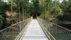 Taxi Coimbatore - Tours & Travels