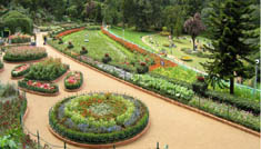 Coimbatore - Ooty - Munnar - Coimbatore