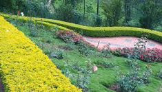 Coimbatore - Ooty - Munnar - Coimbatore