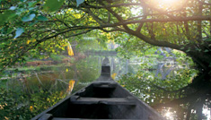 Coimbatore - Munnar - Alleppey - Coimbatore