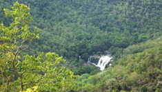 Coimbatore - Kodaikanal - Munnar - Coimbatore