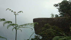 Coimbatore - Kodaikanal - Munnar - Coimbatore