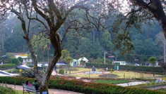 Coimbatore - Kodaikanal - Coimbatore