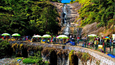 Coimbatore - Kodaikanal - Coimbatore